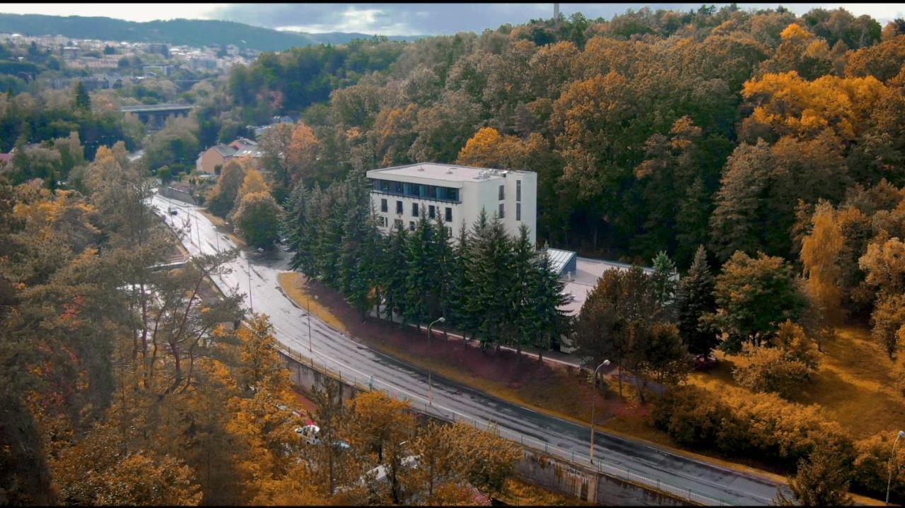 Parkhotel Carlsbad Inn Dalovice Экстерьер фото